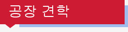 ab_t2_ko